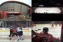 09 The Calgary Flames Hockey Team Plays At The Saddledome.jpg